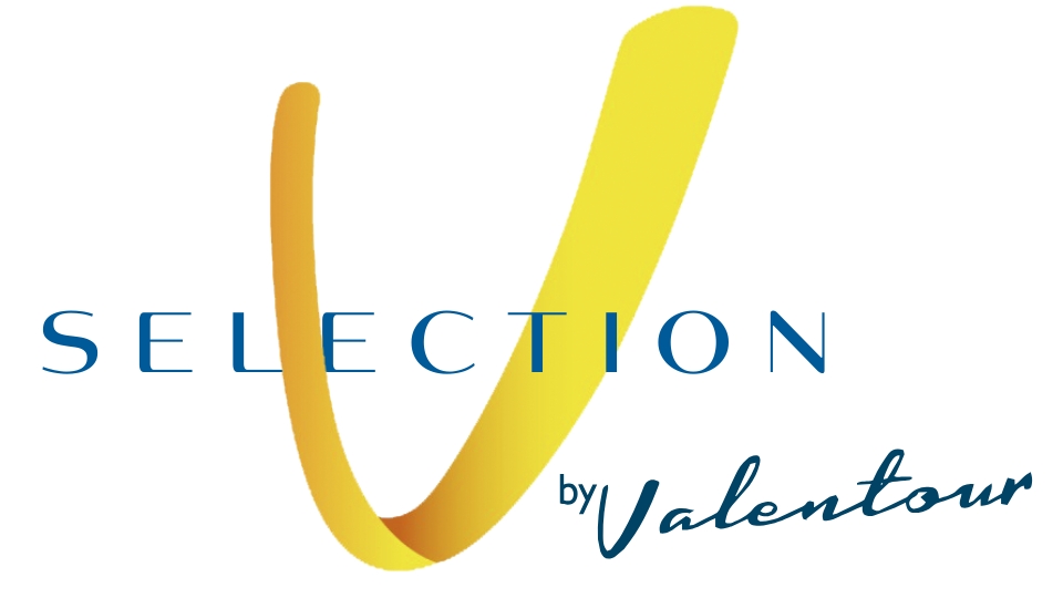 Logo elegante con una V gialla, simbolo di selezione e qualità.